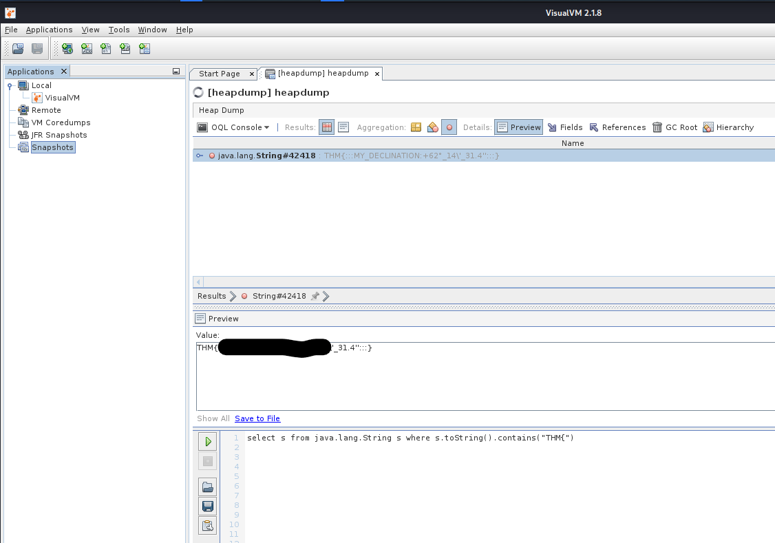 visualvm_oql_flag_query